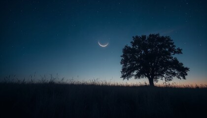 Crescent moon and a lonely tree at night. Concept of peace, tranquility, and hope.