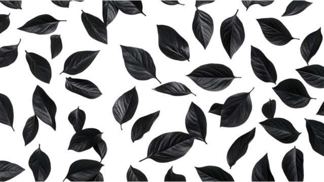 Black Leaves Pattern on White, bold scattered black leaves on a white backdrop, seamless design, ideal for various creative projects