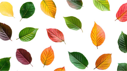 Vibrant Leaf Mosaic on White, A seamless design of colorful leaves on a clean white backdrop, ideal for digital and print applications.
