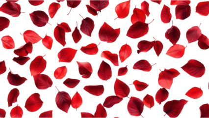 Red Leaves on White, a vibrant pattern of scattered red foliage against a crisp white backdrop, ideal for bold design projects.