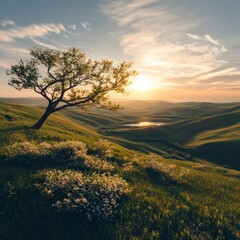 Obraz premium Serene Sunset Landscape Majestic Tree Rolling Hills Golden Hour