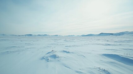 Obraz premium Vast Arctic Snowscape Under a Pale Sky
