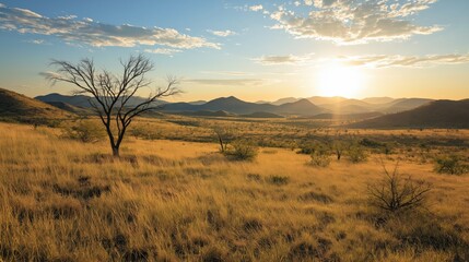 Golden Grasslands Sunset Landscape with Silhouetted Tree and Distant Mountains