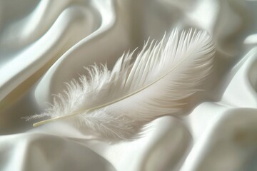Naklejka premium Single White Feather on Soft White Silk Fabric