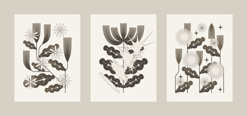 Modern abstract floral botanical and shape wall art print for cover and poster .