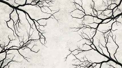 Barren branches frame cloudy sky; nature background