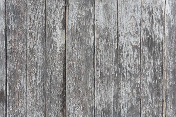 Old wood background vertical line