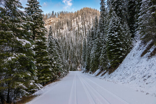 Snowy Mountain Road in the Forest