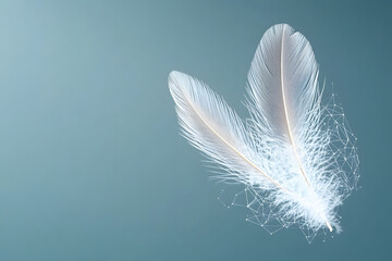 Delicate white feathers with intricate details on soft background