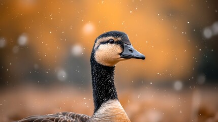Obraz premium Close-up of a duck with a blurred autumn background, showcasing falling snowflakes and warm colors