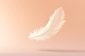 delicate white feather floating gracefully against soft background