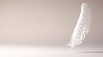 Obraz premium floating white feather captured mid air against soft background