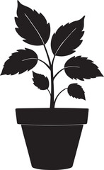 Obraz premium Leafs with cute pot black silhouette on white background vector.