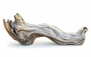 Weathered Driftwood Sculpture: A Study in Natural Form