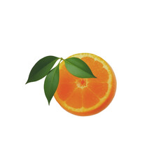 Raw cross ingredient studio citrus png
