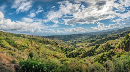 Obraz premium Panoramic View of Rolling Hills and Vineyards Under a Cloudy Sky
