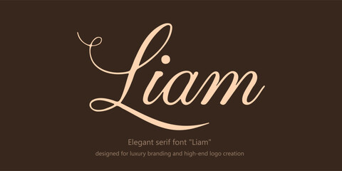Elegant serif font "Liam" designed for luxury branding and high-end logo creation. This modern typeface merges classic minimalism with refined sophistication, featuring stylish letters