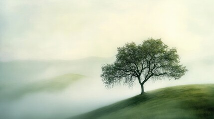 Lonely tree on foggy hill, serene landscape, peaceful morning, nature photography, website background