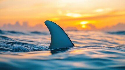 Naklejka premium Shark Fin Emerging from Ocean Surface During Vibrant Sunset