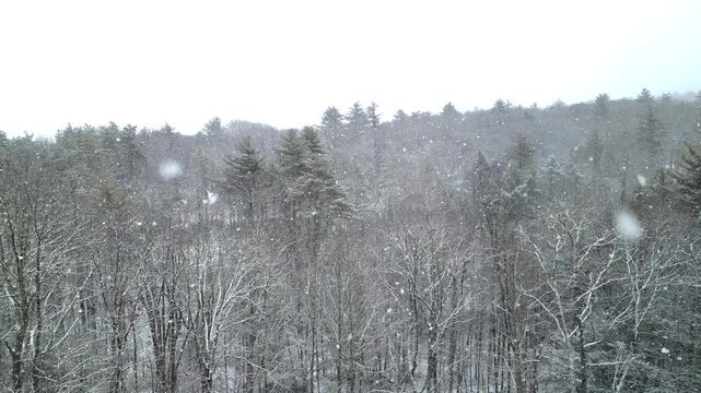 flying towards snow covered trees in the catskill mountains during winter (snowy blizzard weather) beautiful holiday nature landscape upstate new york stream snowing drone aerial establishing shot sun