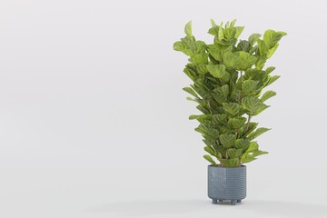 Plant pots in various natural shapes on a white background 3d