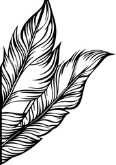 Obraz premium Handdrawn tropical flower corner border
