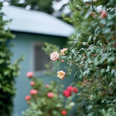 Beautiful Blooms Near a Tranquil Blue House in Nature's Embrace