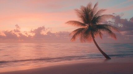 Fototapeta premium Solitary palm tree on a beach at sunset.