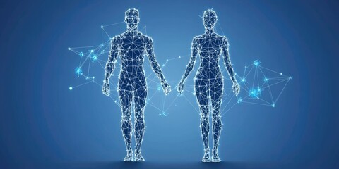 Connected human bodies, digital anatomy, blue background, healthcare concept