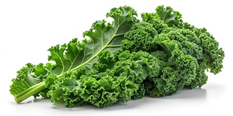 Freshly harvested leafy green kale sitting alone on a white background, plant, healthy food,  plant, healthy food