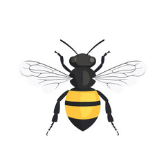 Obraz premium Detailed Illustration of a Bumblebee with Distinctive Features