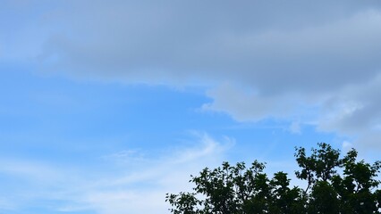 Obraz premium Serene Blue Sky with Partial Cloud Cover and Treetops