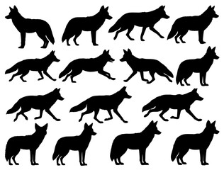 COYOTE SILHOUETTE ON WHITE BACKGROUND