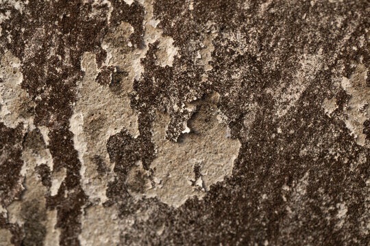 cement wall texture. Old concrete background.