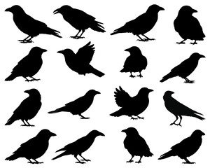 CROW SILHOUETTE BUNDLE ON WHITE BACKGROUND