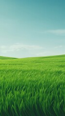 Fototapeta premium Green grass field landscape outdoors horizon.