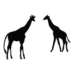 Giraffe silhouette