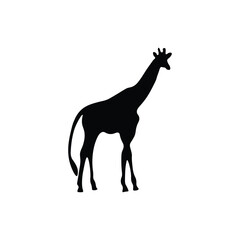 Giraffe silhouette