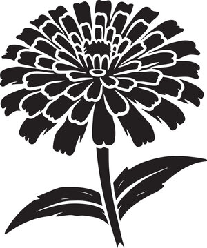 black and white zinnia flower on stem clip art preview
