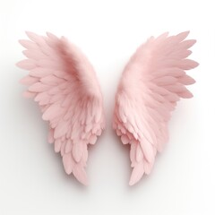 Obraz premium Wings angel bird white background.