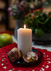 still life with white candle, dry flowers, fruits and other objects