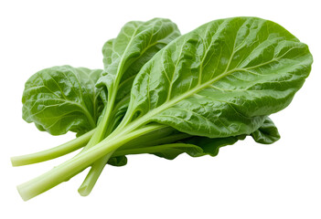 healthy spinach bunch isolated on white
