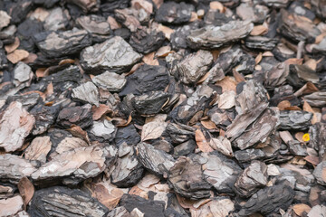 
the bark of chopped trees is brown in color and has many pieces of different sizes and shapes.