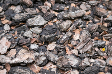 
the bark of chopped trees is brown in color and has many pieces of different sizes and shapes.
