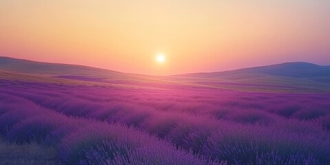 Obraz premium lavender field at sunset, bathed in warm, purple hues. The sun dips below the horizon, casting a soft, dreamy glow over the landscape.