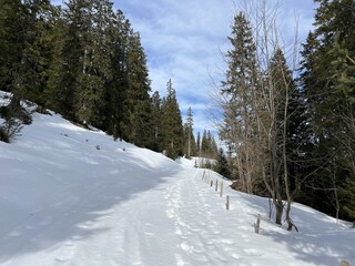 Winter snow idyll along the rural alpine road above the Swiss tourist sports-recreational resort of Engelberg - Canton of Obwalden, Switzerland (Kanton Obwald, Schweiz)