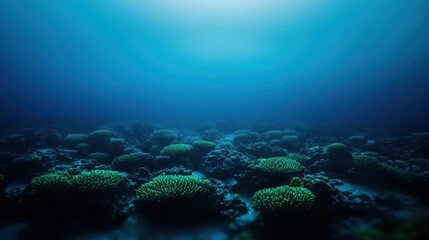 Obraz premium Vibrant Coral Reef Underwater Scene with Sunlight
