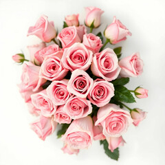 Obraz premium Top-View Studio Shot of Pink Rose Flowers