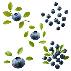 Fresh Blueberries PNG - Transparent Background File.