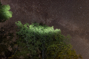 beautiful night landscape with stars in the sky, starry night, different groups of stars